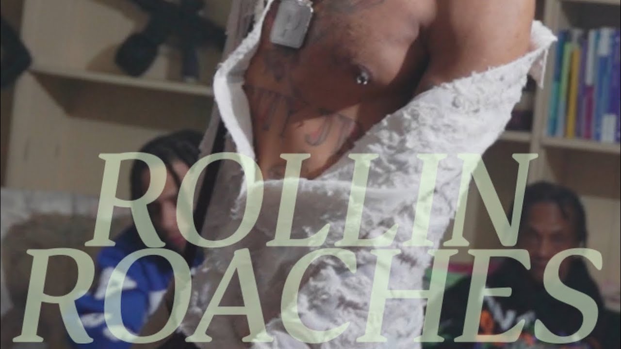 M City Jr music video thumbnail for Rollin Roaches